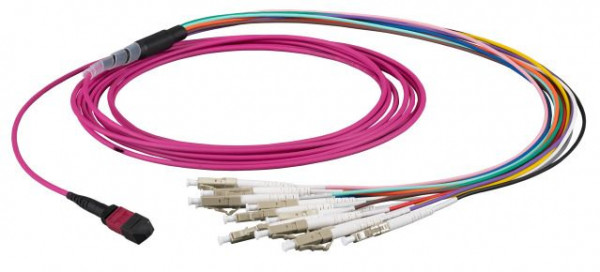 LWL-MTP®-Female-LC Patchkabel OM4 LowLoss, 12 Faser(Fanout, Pin1-12)-> 6xLC duplex, 2m, 50/125u,