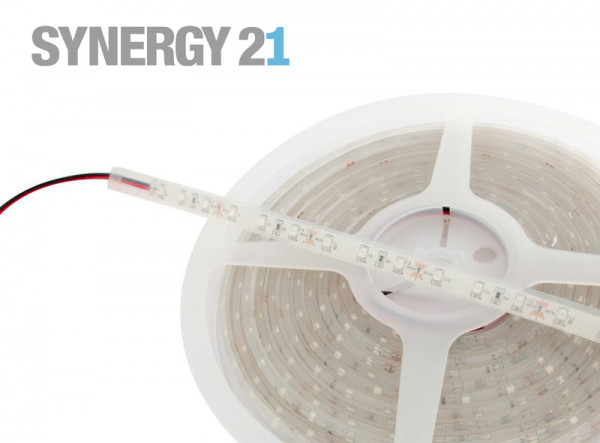 Synergy 21 LED Flex Strip blau DC12V 24W IP68