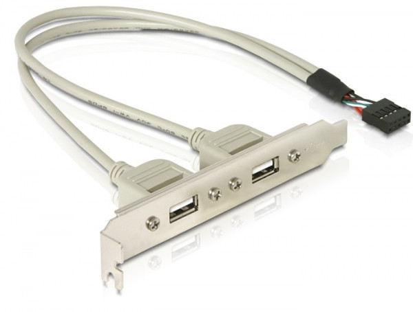 DeLock Slotblech - USB 2.0 2xPort