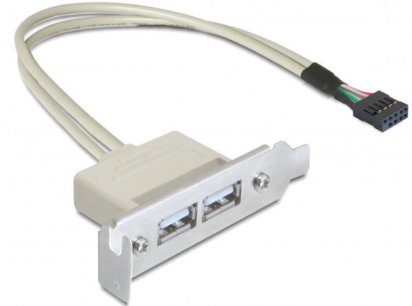 DeLock Slotblech - USB 2.0 2x Port *low profile*