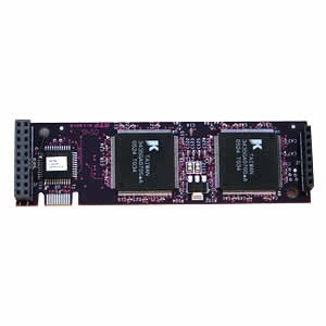 Digium Modul Echo Cancellation für a/b- und 1-Port PMX Kartn